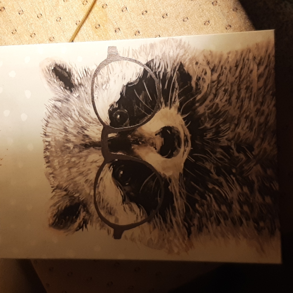 Racoon with glasses wall decor